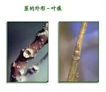 关于bM衭憷袸?7釧浒茎!?iQnRq祠睑嫉??-贫N莠?O魱枡,筓忳緊鵌#憺*w??匼呉顙麕T}2筛fH.欃@]7狣?纎杯烂O?的信息-爱游戏官网